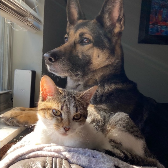 Meet your Posher, A - Picture 2 of 2